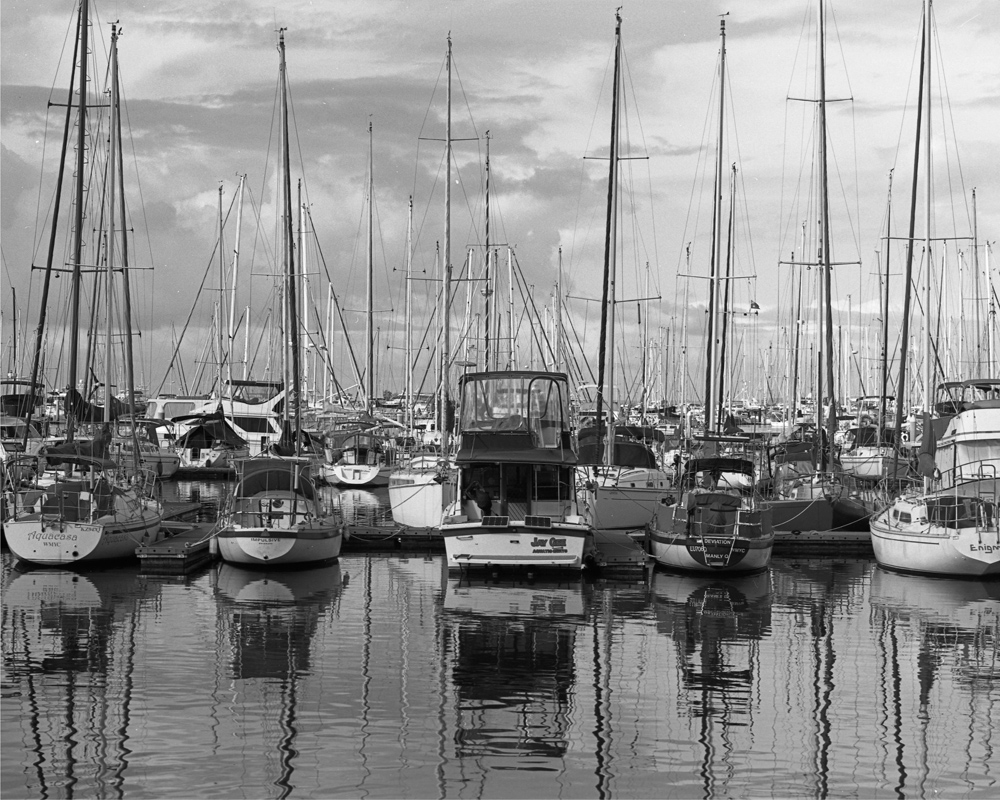 manly Boats 120 film small.jpg
