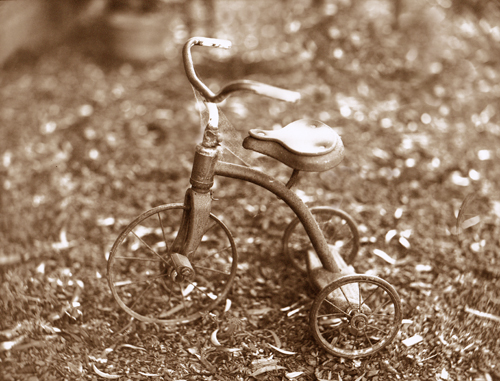 2013-10_Trike-02.jpg