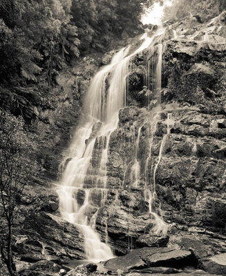 Nelson Falls (left) web.jpg