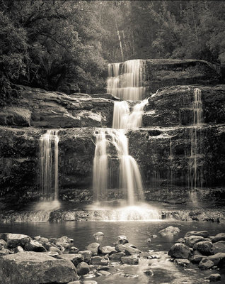 Liffey Falls web.jpg