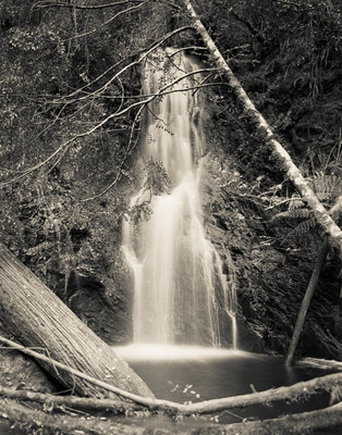 Hogarth Falls web.jpg