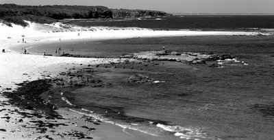 4x5_FP4_Fujinon_250mm_Shen_Hao_Cape_Paterson_Cropped_Web_005.jpg