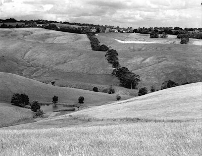 020001_Hills_Behind_Kilcunda_Bergger_Orange_Filter_250mm_3mm_Rise_No_Shift_004.Web.jpg