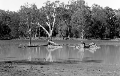 230014_Yarrie_Lake_Billabong_FP4_Shen_Hao_250mm_Zeroed_No_Filter_15th_f22_1038hr_003_Web.jpg